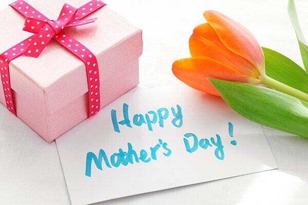 cutis-mother-gift cutis-mother-gift